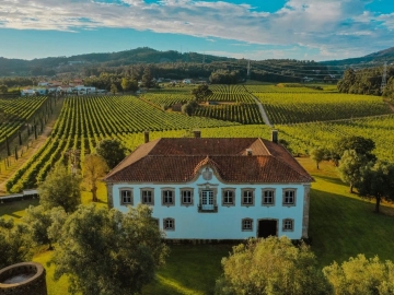 Terra Rosa Country House & Vineyards - Design Hotel in Ponte de Lima, North of Portugal