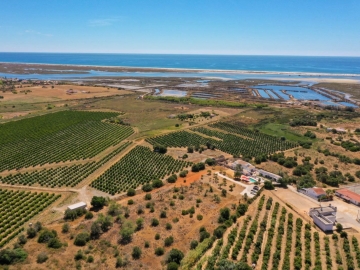 Casa Ciconia - Beach House in Fuseta, Algarve